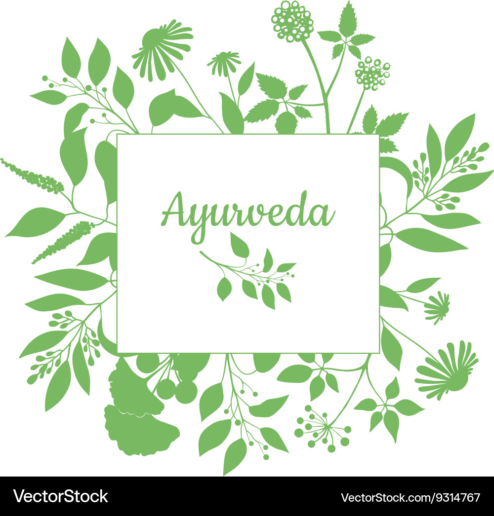 green square frame with collection of ayurveda vector image vectorstock