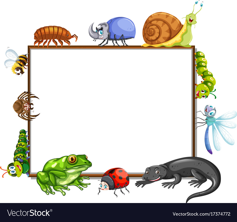 Border template with many insects Royalty Free Vector Image