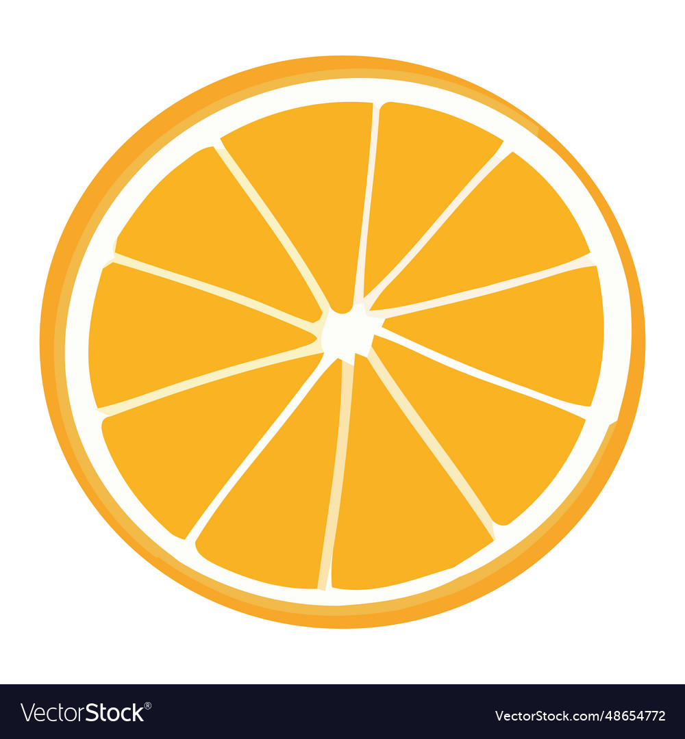 Fresh orange slice Royalty Free Vector Image - VectorStock