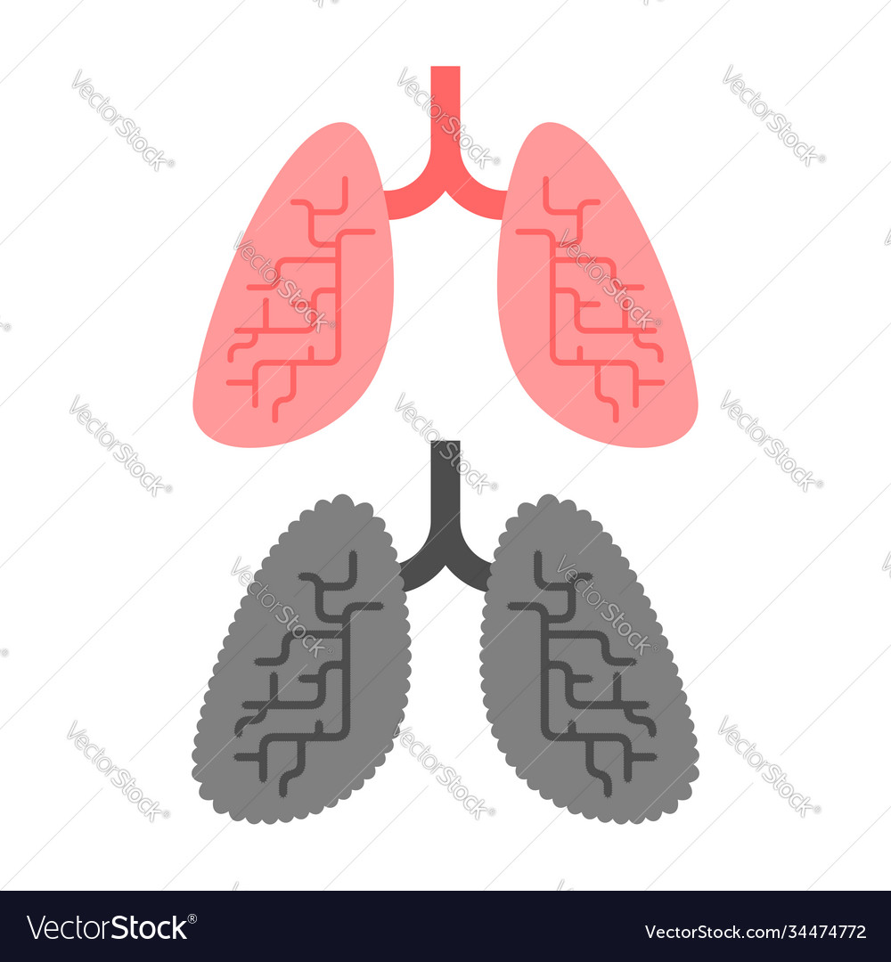 Lungs healthy and lung smoker sick