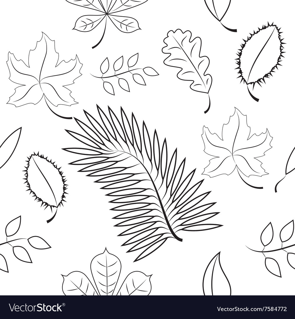 Seamless of different leaves contour plot