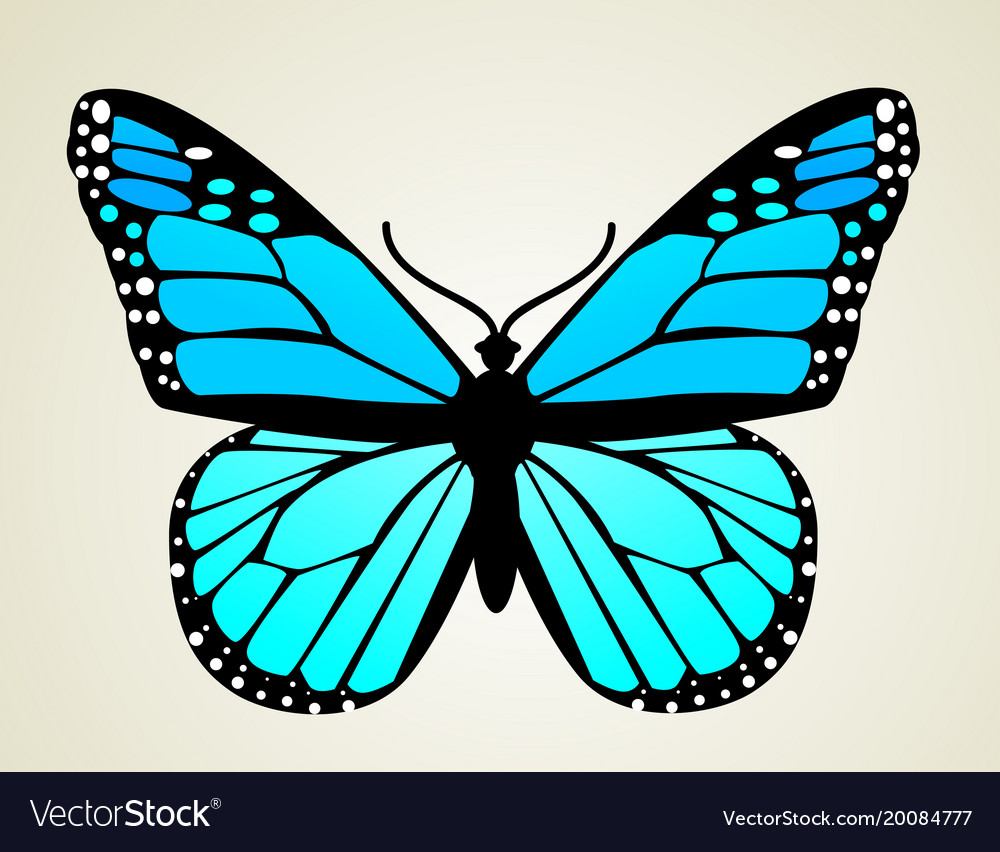 Butterfly Royalty Free Vector Image - Vectorstock