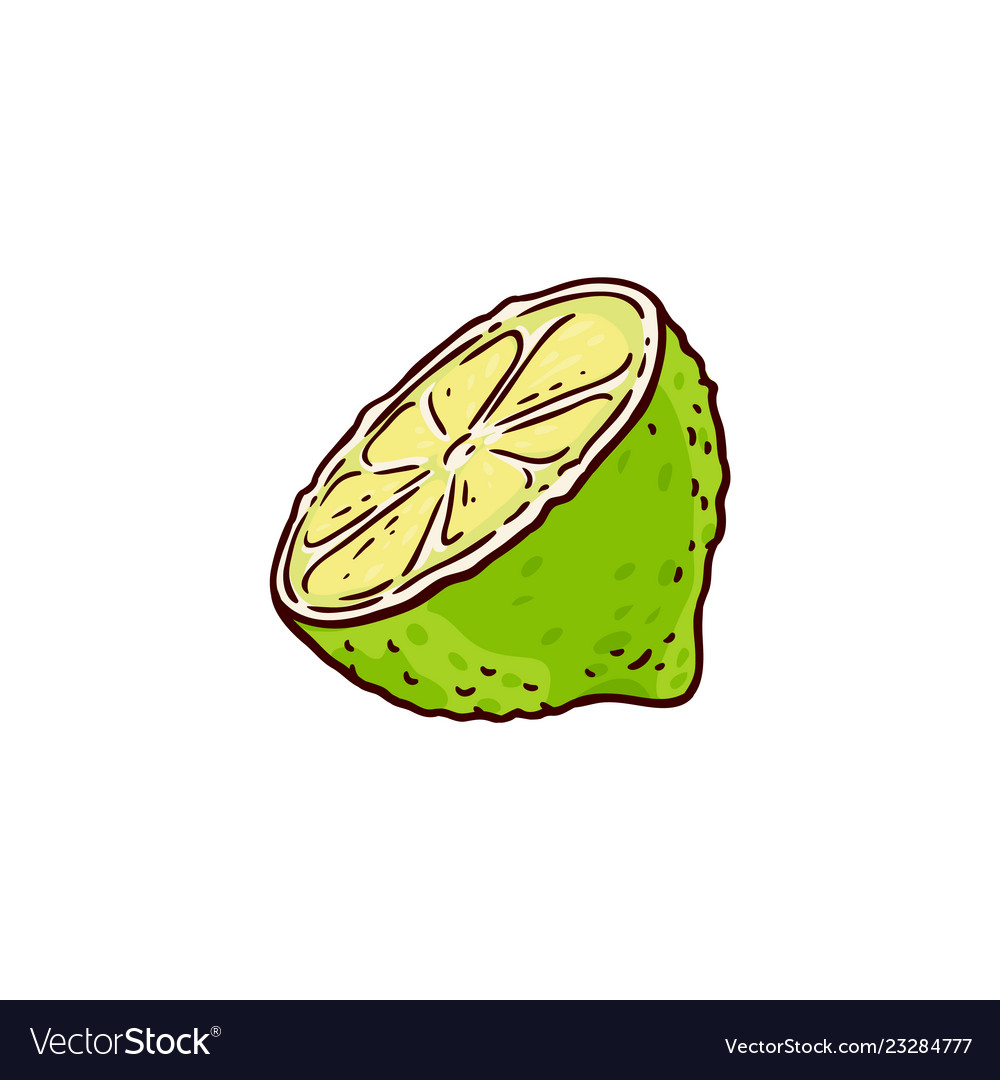 Sketch cartoon juicy half of ripe lemon Royalty Free Vector Sketch cartoon juicy half of ripe lemon Royalty Free Vector