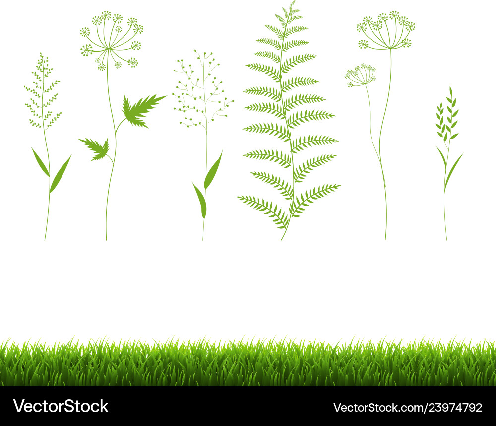 Grass set isolated white background Royalty Free Vector
