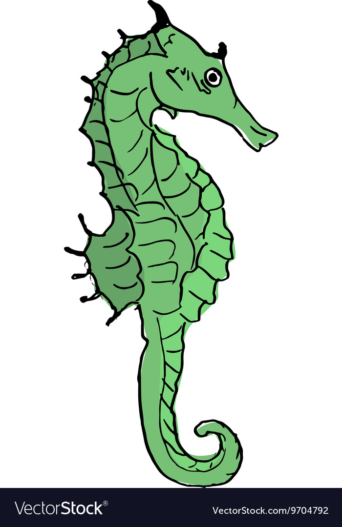 Seahorse design