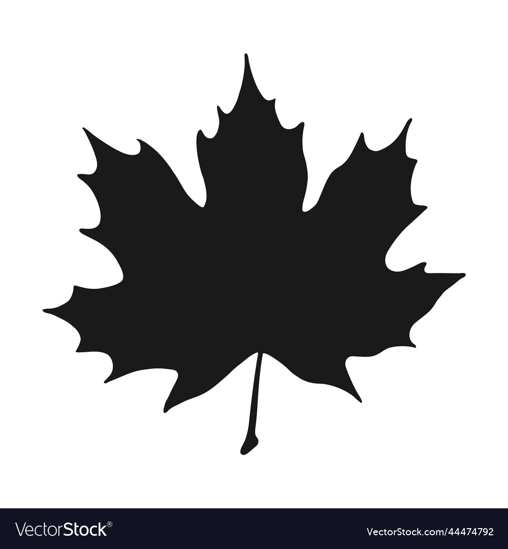 Silhouette maple hand drawn autumn Royalty Free Vector Image