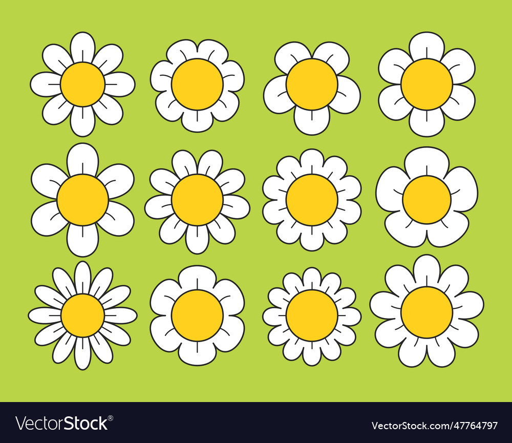 Cartoon daisy flowers set isolated on green Vector Image