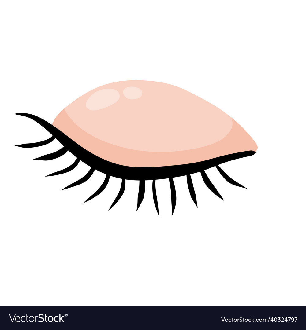 Geschlossene Augendetails der Gesichtsöse mit Wimpern vector image Geschlossene Augendetails der Gesichtsöse mit Wimpern
