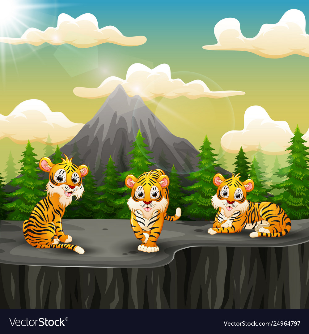 Tiger group cartoon enjoying on mountain a cli