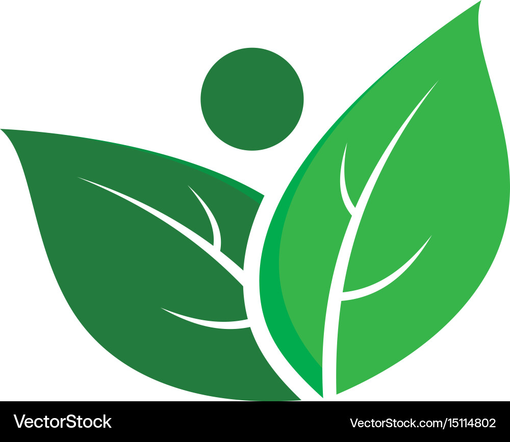 Abstract leaf eco logo image Royalty Free Vector Image