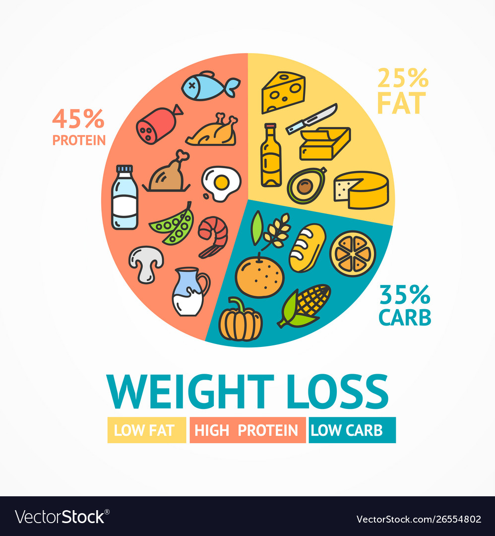 Weight loss diet concept card poster ad with thin Vector Image