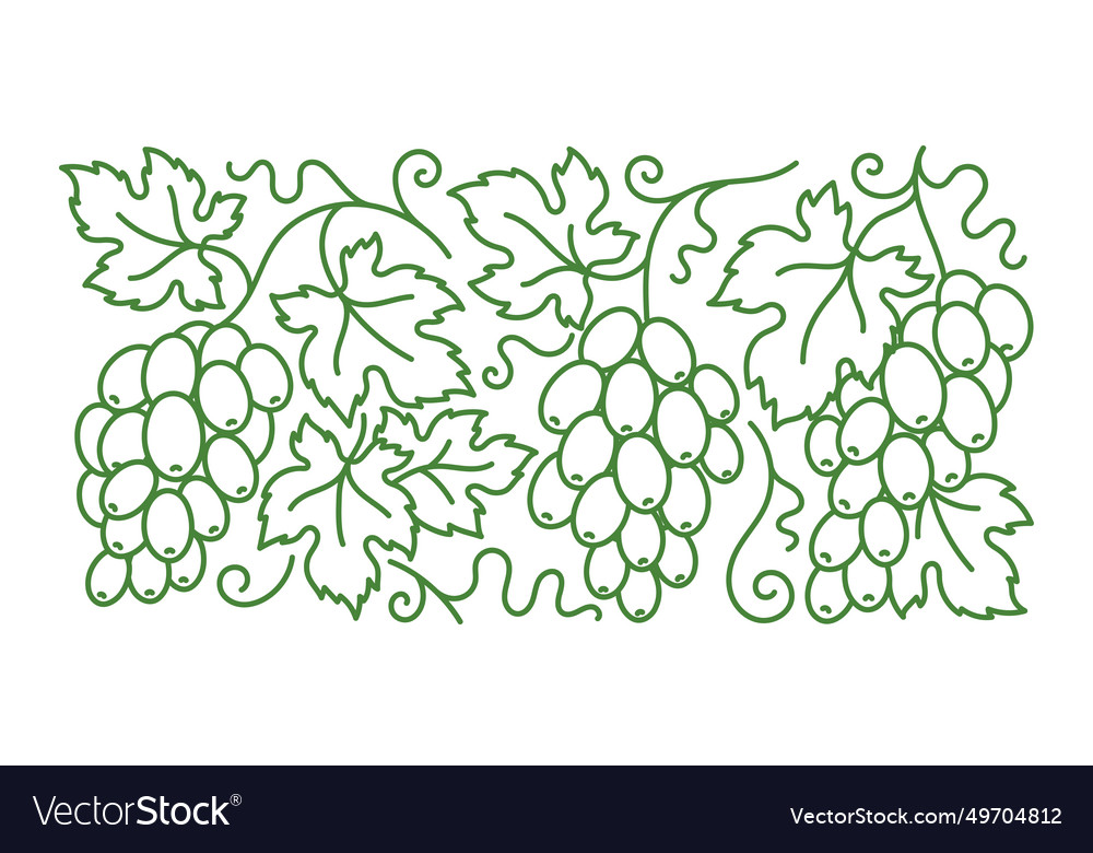 Grape vine pattern branches and leaves