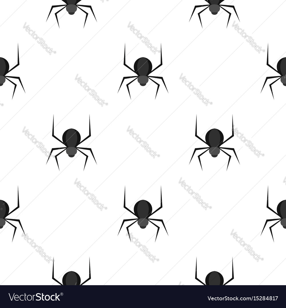 Spider Pattern Custom Design Spider Pattern Custom Design