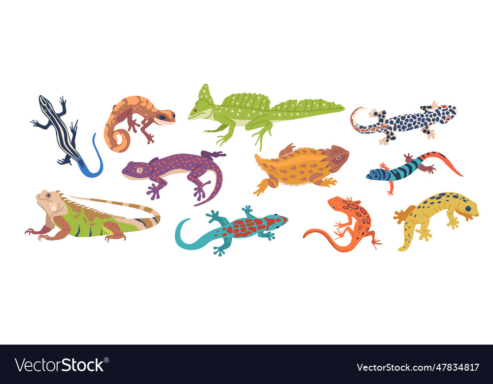 Exotic lizards and varans captivating reptiles Vector Image