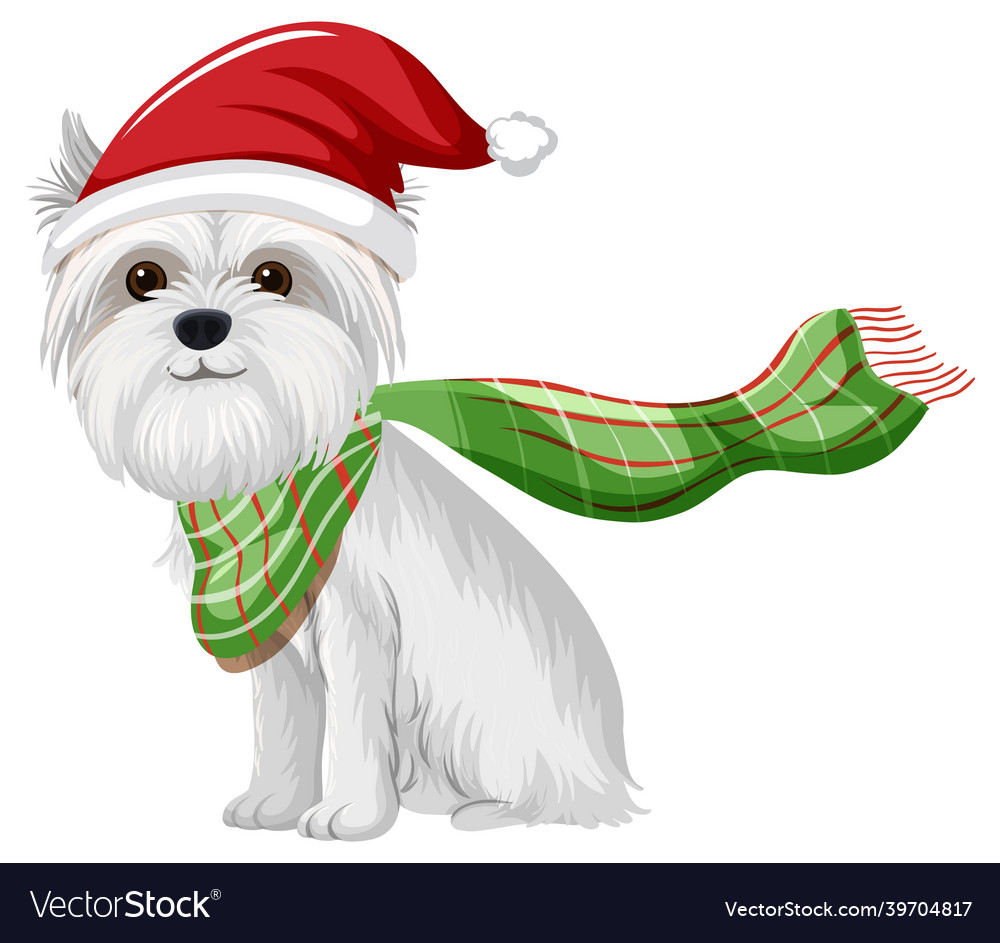 Yorkshire terrier dog wearing christmas hat vector image Yorkshire terrier dog wearing christmas hat