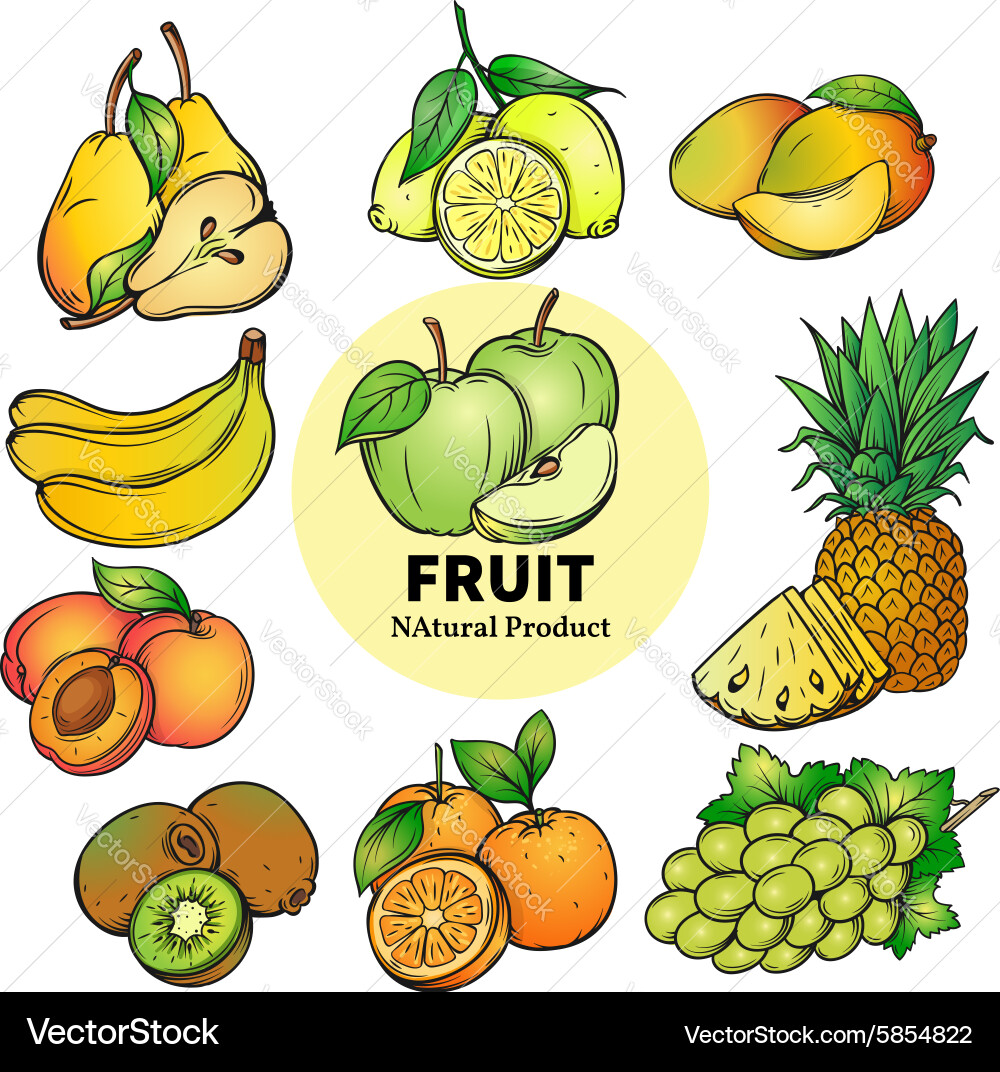 Set of colorful hand draw fruit Royalty Free Vector Image