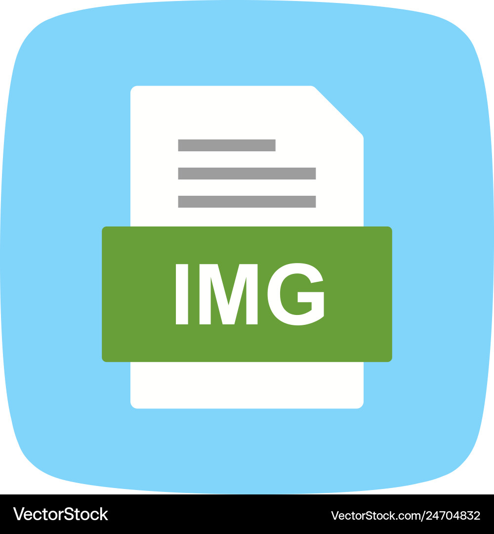 Img file document icon Royalty Free Vector Image