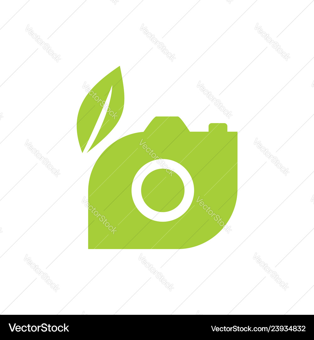 Leaf logo design template isolated Royalty Free Vector Image