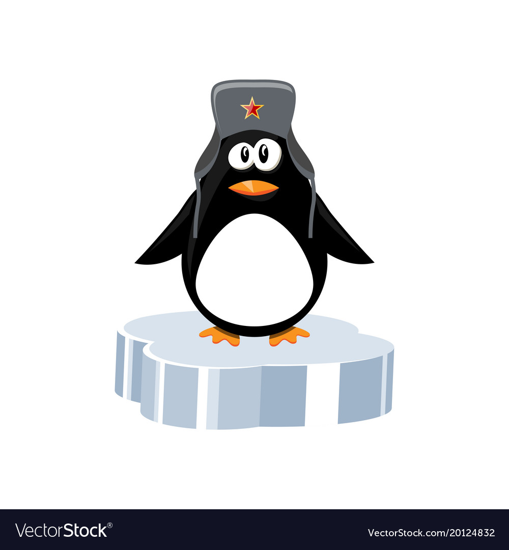 Penguin on ice floe