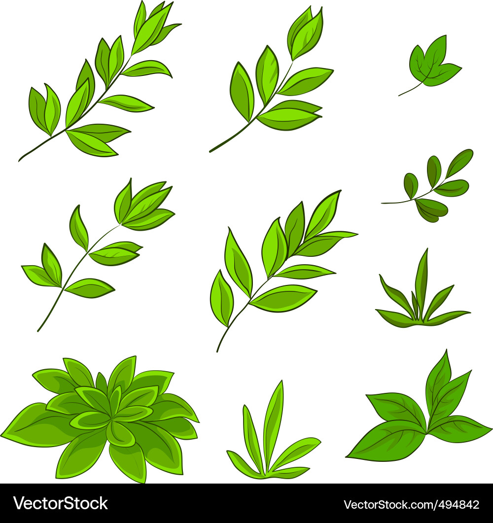 Leaves Royalty Free Vector Image - VectorStock