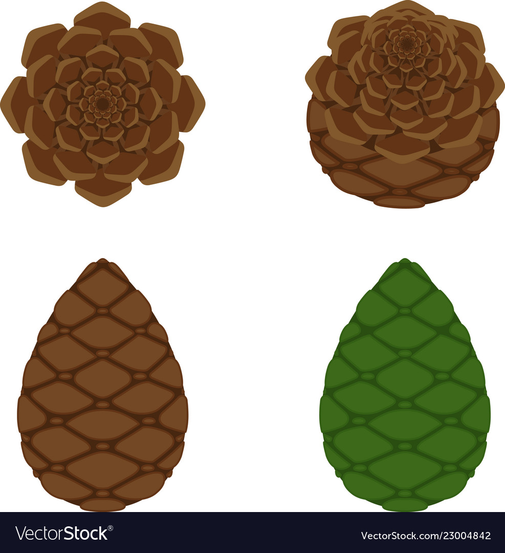 Pinecone icon a branch of pine from coniferous Vector Image