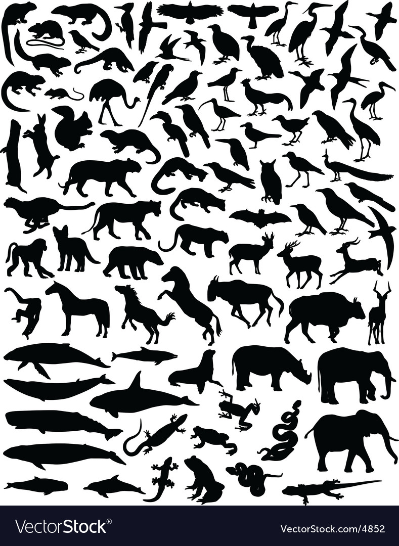 Animal outlines Royalty Free Vector Image - VectorStock