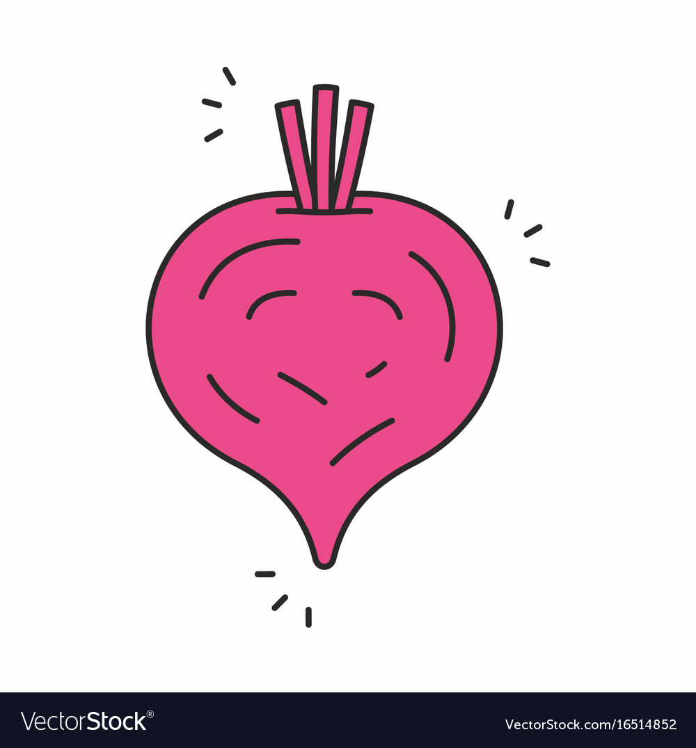 Beet icon Royalty Free Vector Image - VectorStock