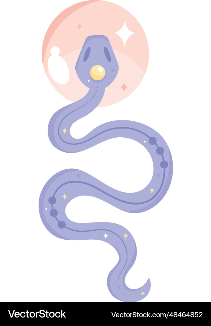 Esoteric snake design Royalty Free Vector Image