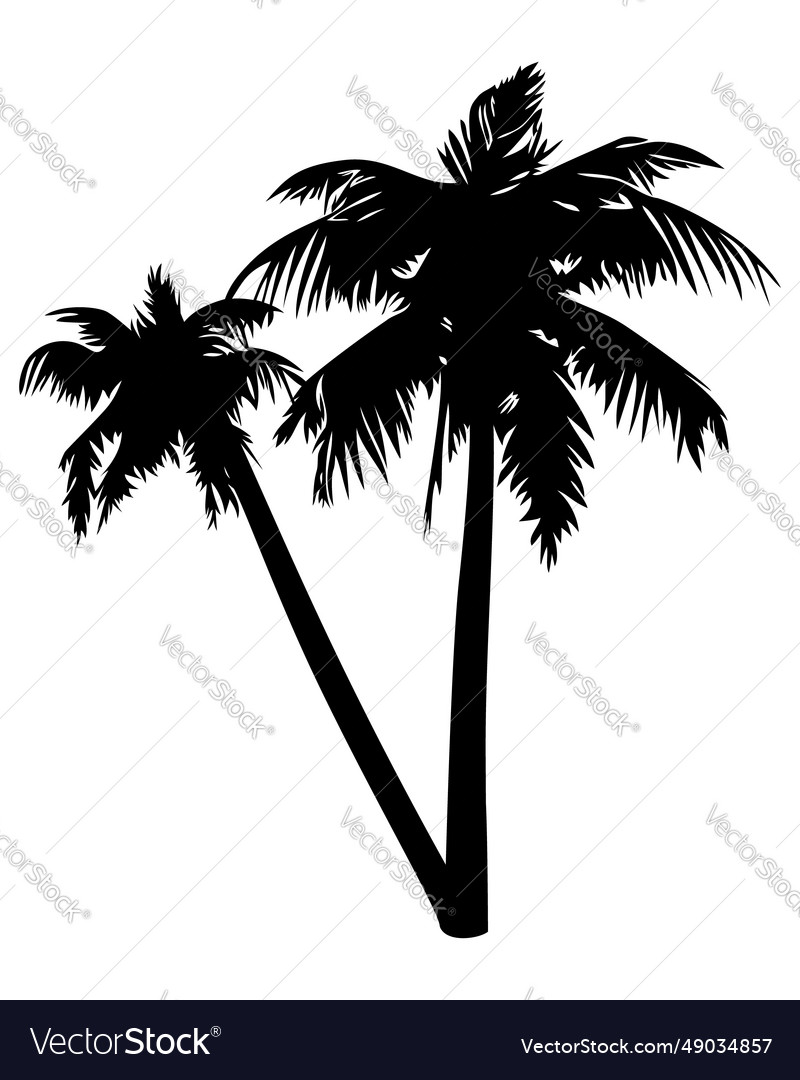 Palm tree silhouette isolated on white background Vector Image