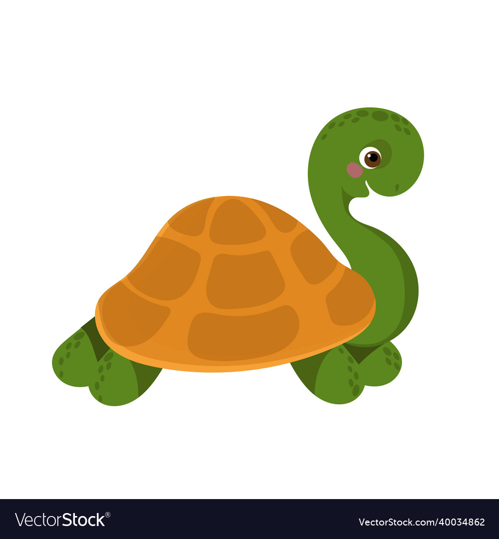 Cute turtle character flat kids design Royalty Free Vector