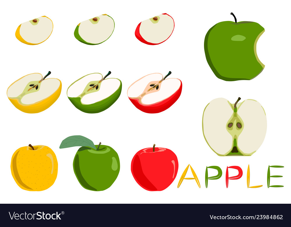 On theme big set different types round apples Vector Image