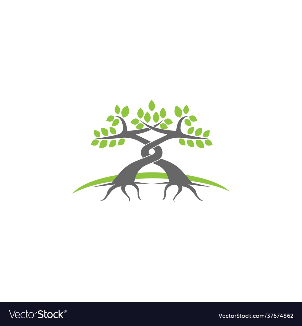 Tree icon branch design