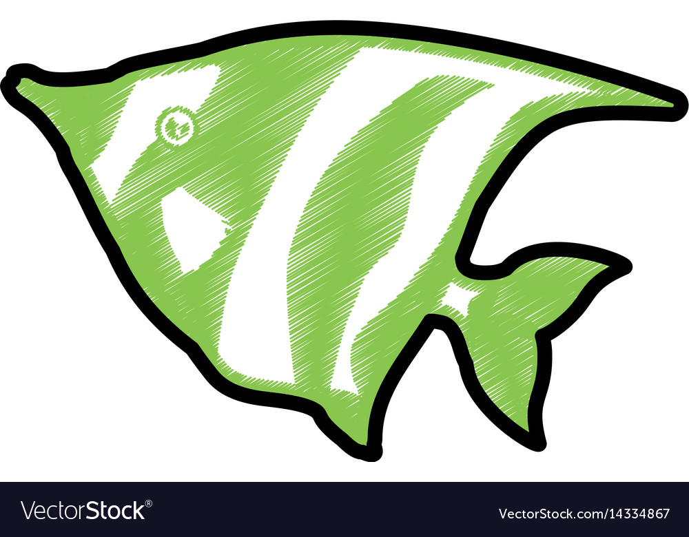 Fish sea animal symbol