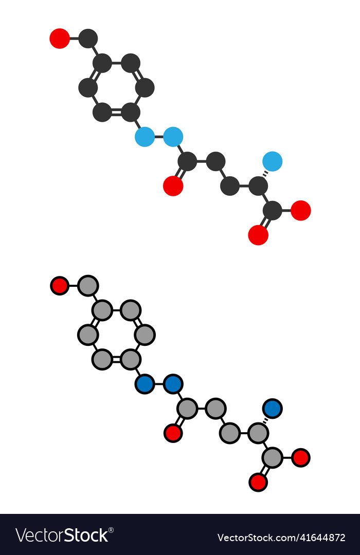 Agaritine mushroom toxin molecule Royalty Free Vector Image