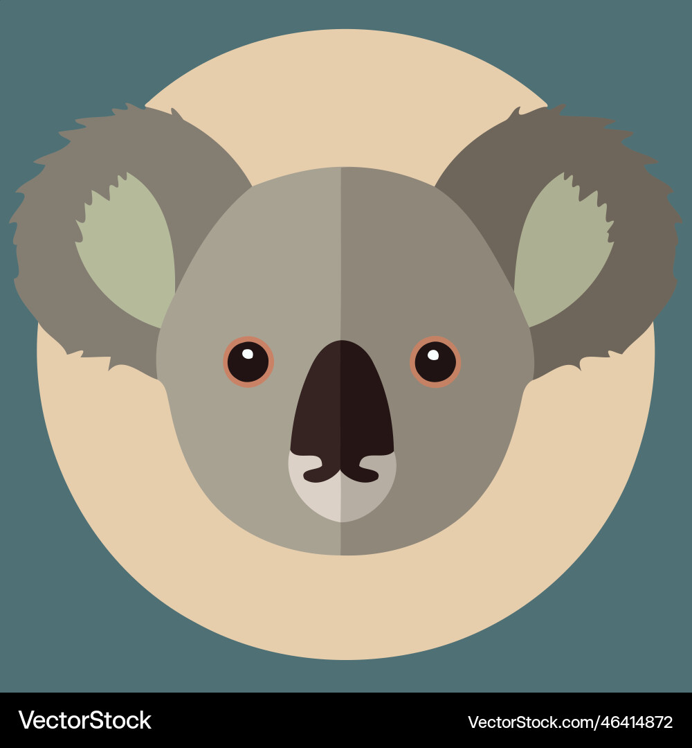 Common koala herbivore mammal animal face Vector Image