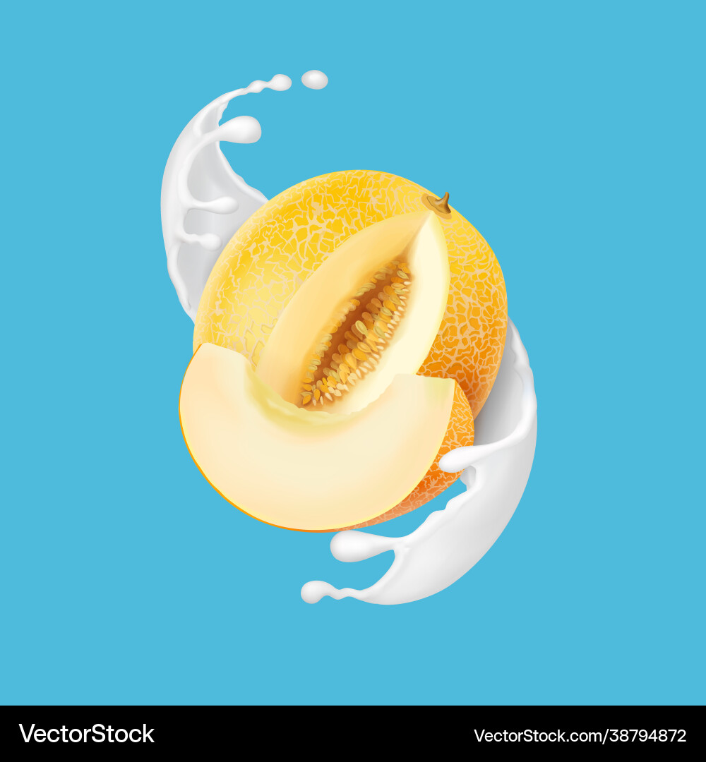 Melon and milk splash honeydew yogurt Royalty Free Vector