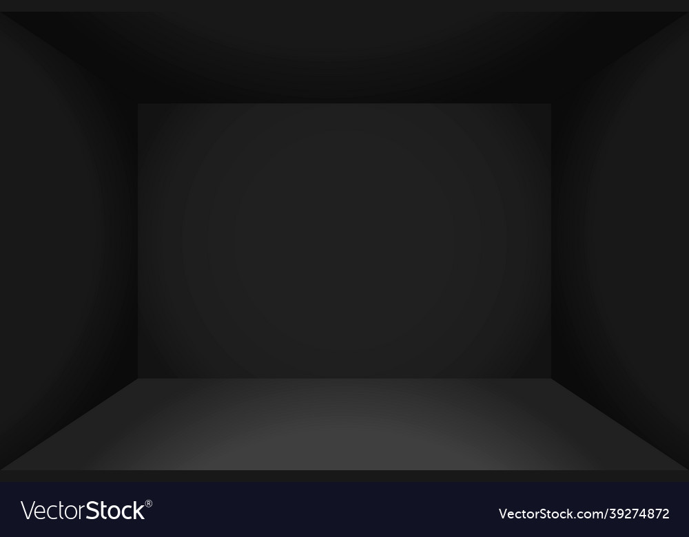 Realistic empty space of the dark box vector image Realistic empty space of the dark box