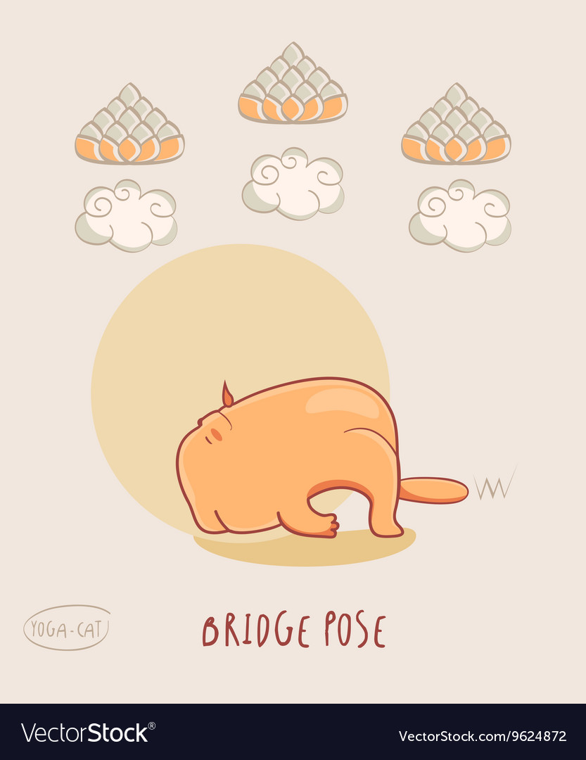 Red yoga cat in bridge pose