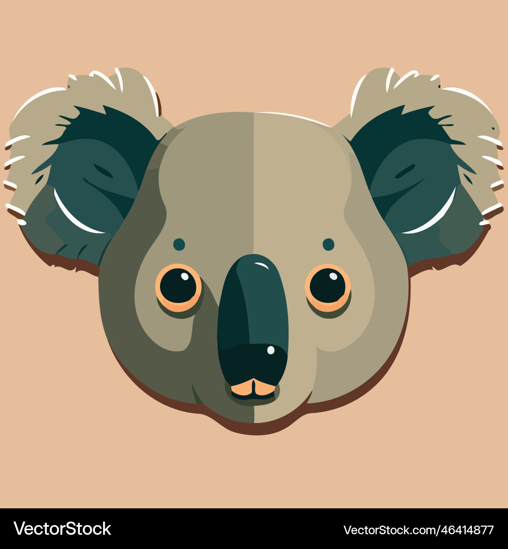 Common koala herbivore mammal animal face Vector Image