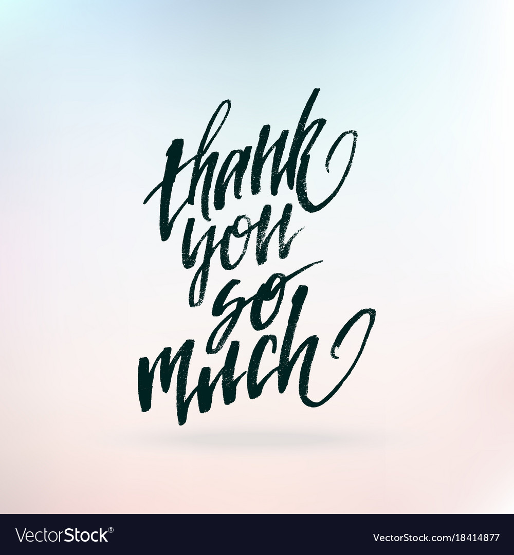 Inspirational Quote Thank You So Muchhand Vector Image