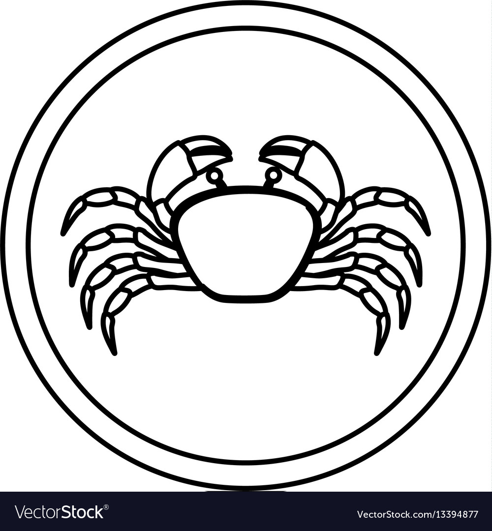Monochrome line contour with crab in circular
