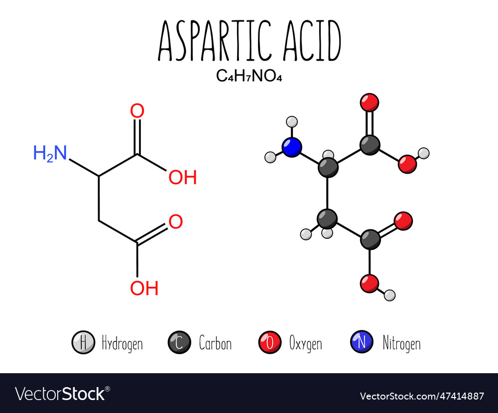 Aspsartic acid amino representation