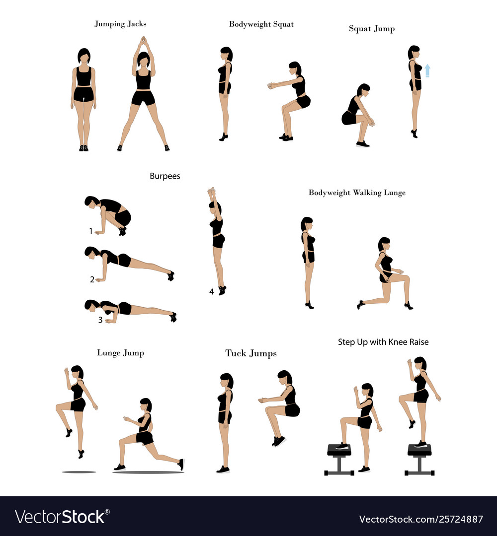 Fat burning workout exercises Royalty Free Vector Image