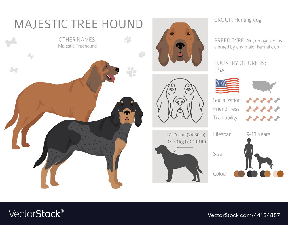 Majestic tree hound clipart all coat colors set Vector Image