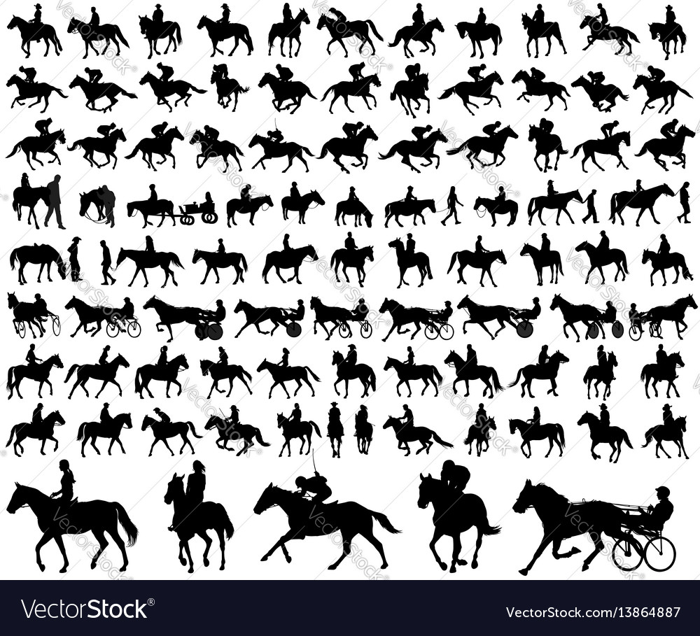 Riding horses collection vector image Riding horses collection
