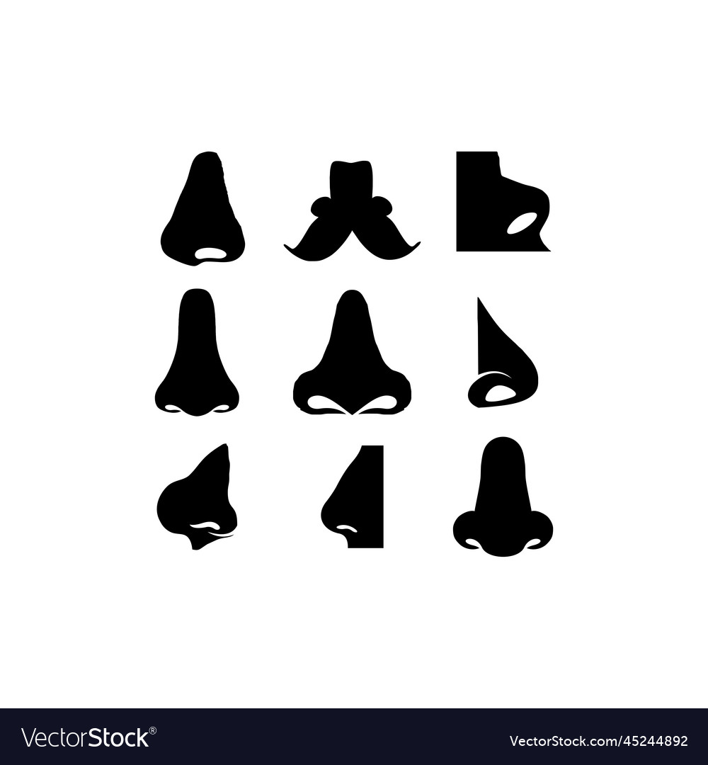 Human nose set creative design