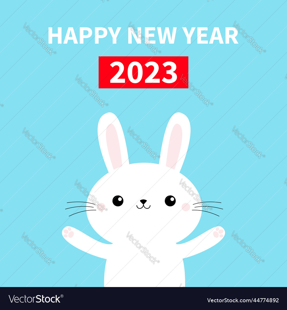 Year of the rabbit happy chinese new 2023 Vector Image