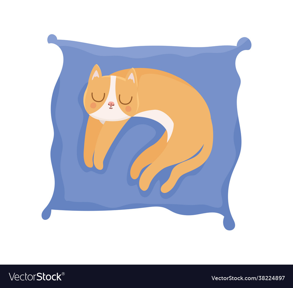 Pretty cat resting Royalty Free Vector Image - VectorStock