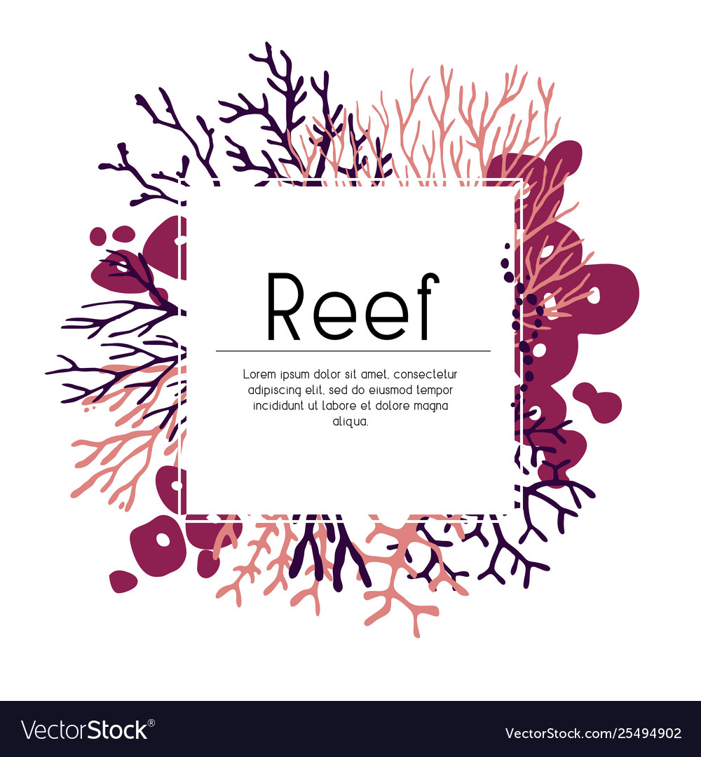 Template seaweed and corals Royalty Free Vector Image