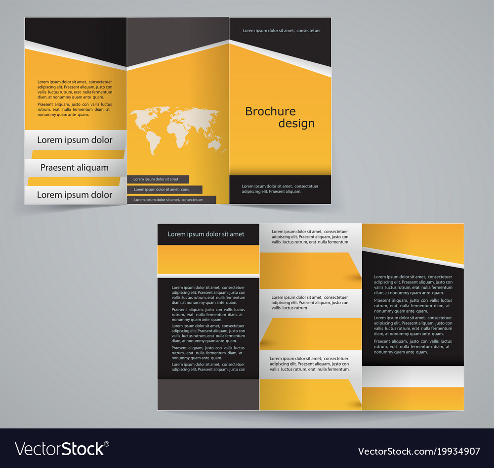three fold business brochure template royalty free vector